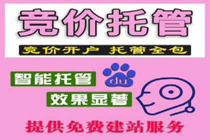 SEM推广竞价案例：助力企业品牌建设